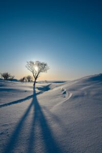 黒川温泉で楽しむ冬の雪見温泉の魅力とは？